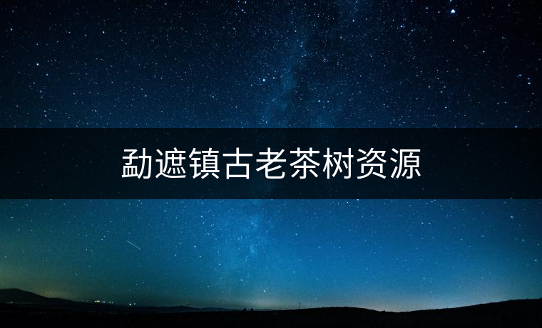 勐遮鎮(zhèn)古老茶樹資源