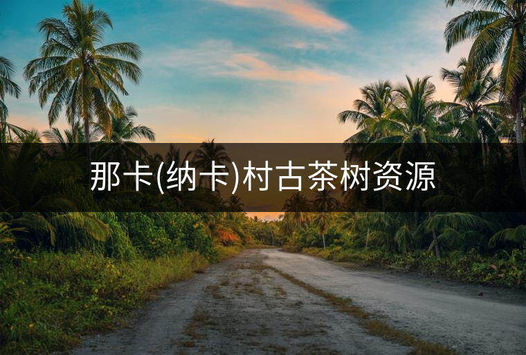 那卡(納卡)村古茶樹(shù)資源 那卡(納卡)村古茶樹(shù)資源