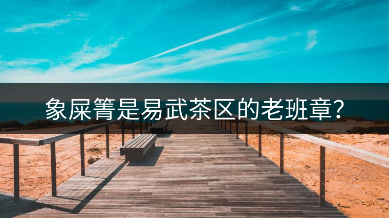 象屎箐是易武茶區(qū)的老班章？