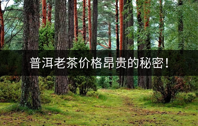 普洱老茶價格昂貴的秘密! 普洱老茶價格昂貴的秘密!