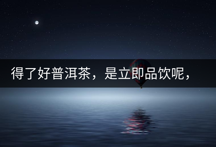 得了好普洱茶，是立即品飲呢，還是收藏？