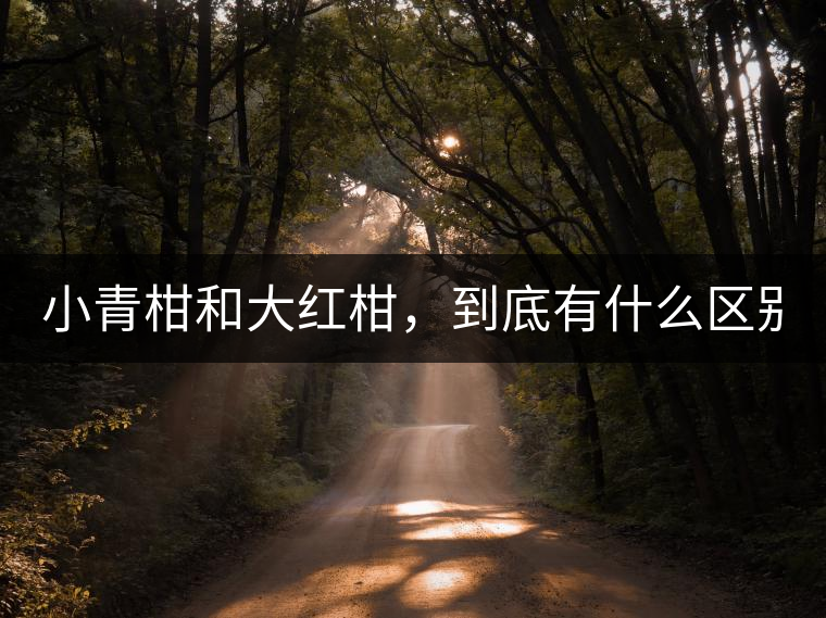 小青柑和大紅柑，到底有什么區(qū)別？