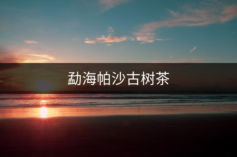 勐海帕沙古樹(shù)茶 勐海帕沙古樹(shù)茶