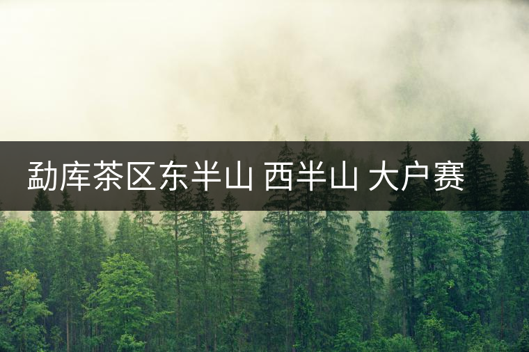 勐庫茶區(qū)東半山 西半山 大戶賽 小戶賽普洱茶介紹