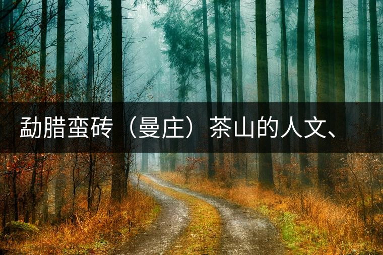 勐臘蠻磚（曼莊）茶山的人文、生態(tài)