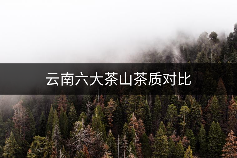 云南六大茶山茶質(zhì)對比 云南六大茶山茶質(zhì)對比