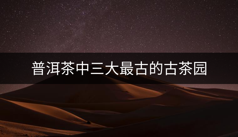 普洱茶中三大最古的古茶園