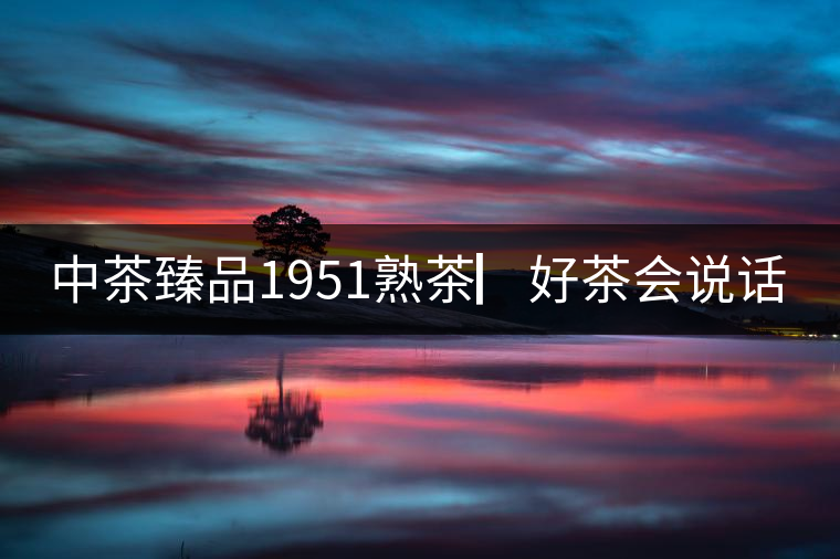 中茶臻品1951熟茶▏好茶會(huì)說話