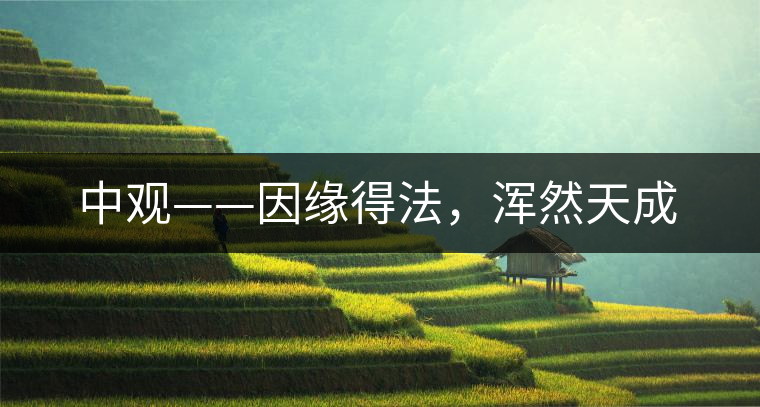 中觀——因緣得法，渾然天成