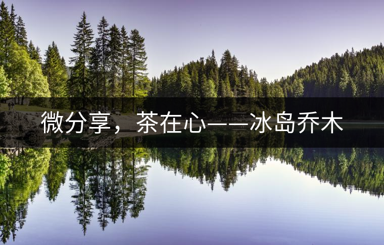 微分享，茶在心——冰島喬木