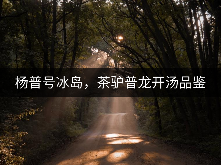 楊普號冰島，茶驢普龍開湯品鑒