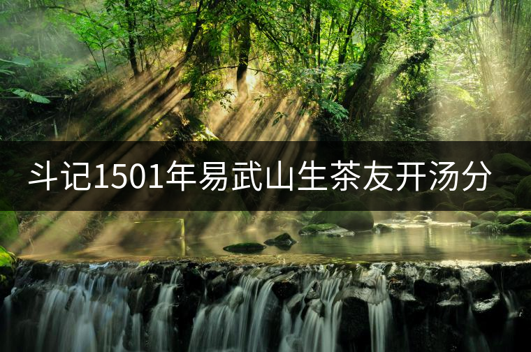 斗記1501年易武山生茶友開(kāi)湯分享 斗記1501年易武山生茶友開(kāi)湯分享