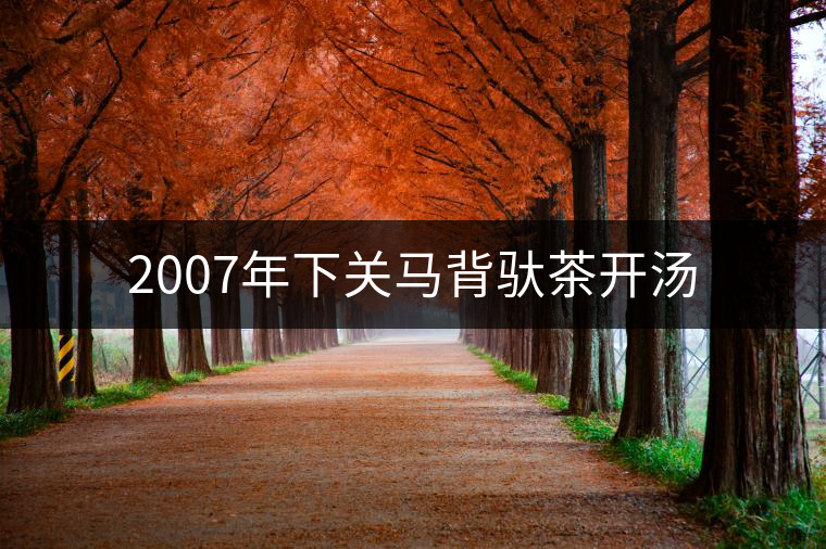 2007年下關(guān)馬背馱茶開湯 2007年下關(guān)馬背馱茶開湯