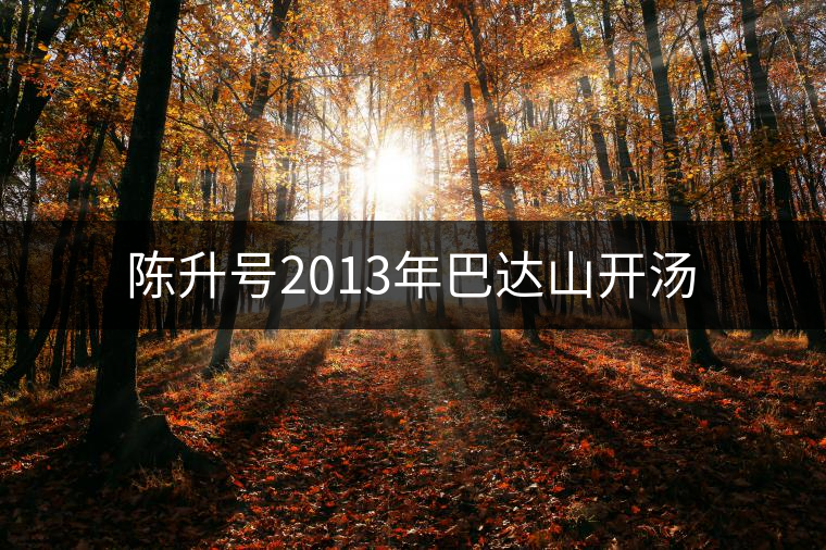 陳升號2013年巴達(dá)山開湯 陳升號2013年巴達(dá)山開湯