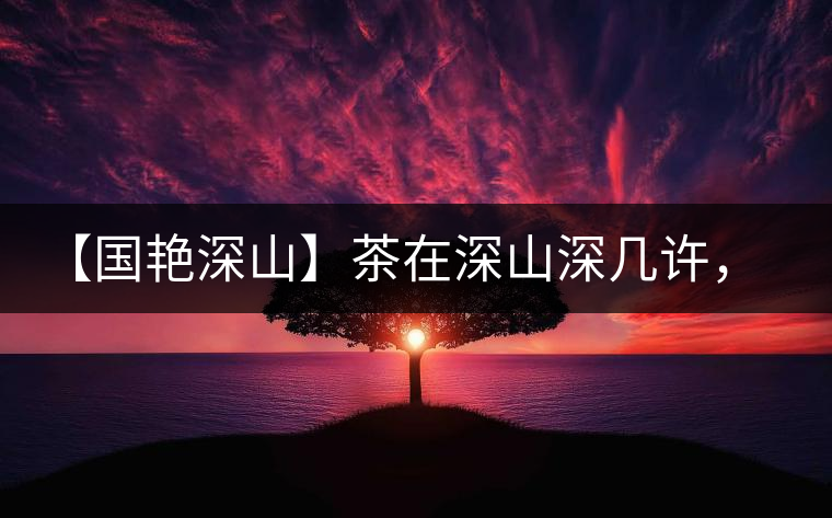 【國艷深山】茶在深山深幾許，布朗味釅釅幾分！