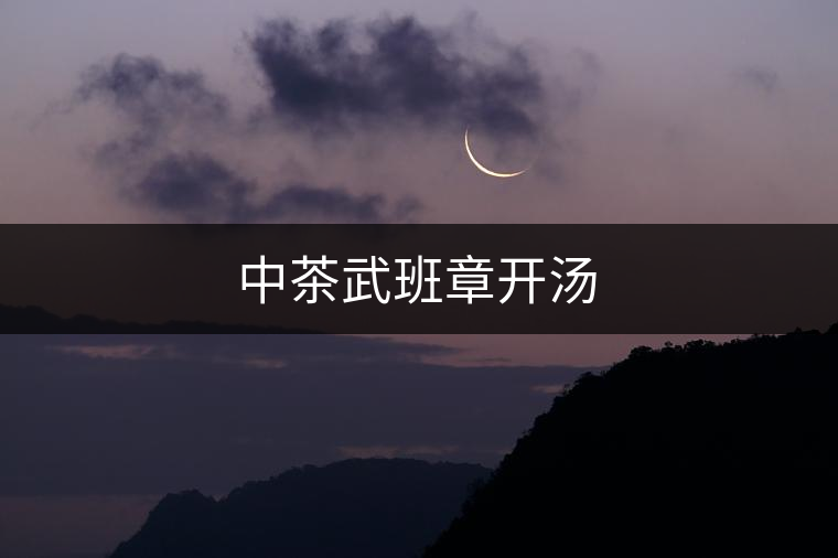 中茶武班章開湯 中茶武班章開湯