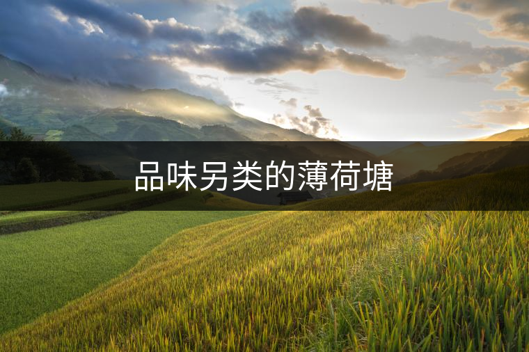 品味另類的薄荷塘