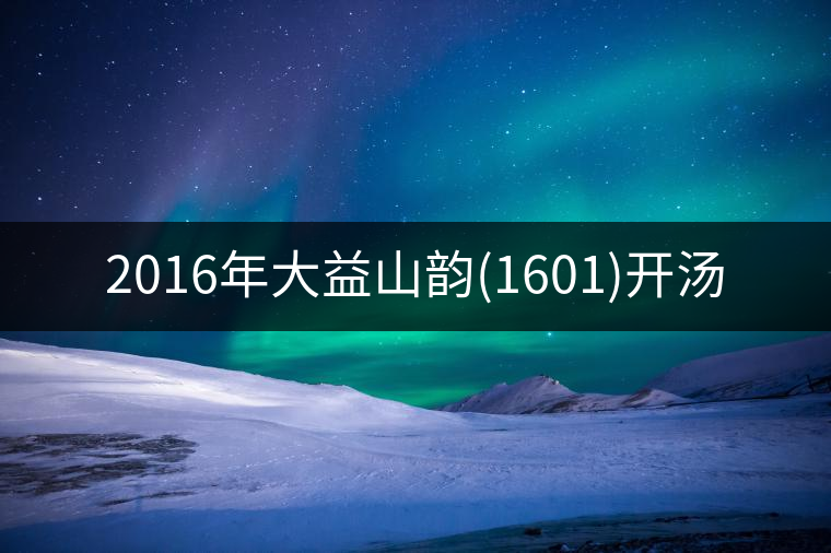 2016年大益山韻(1601)開湯 2016年大益山韻(1601)開湯