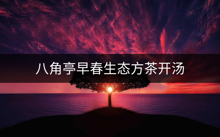 八角亭早春生態(tài)方茶開湯 八角亭早春生態(tài)方茶開湯