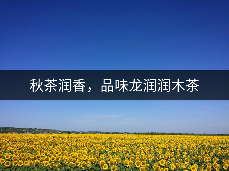 秋茶潤(rùn)香，品味龍潤(rùn)潤(rùn)木茶