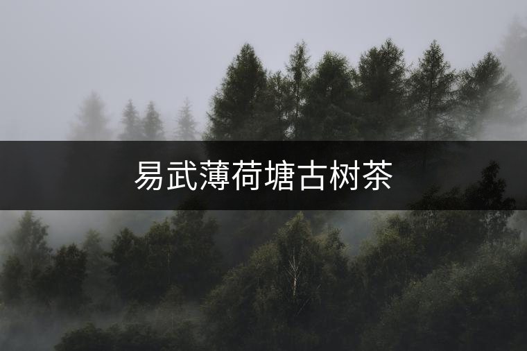 易武薄荷塘古樹(shù)茶 易武薄荷塘古樹(shù)茶