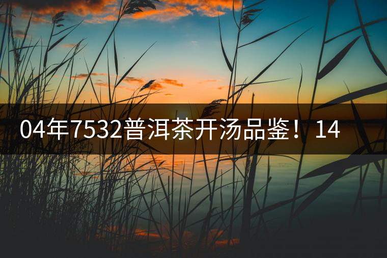 04年7532普洱茶開湯品鑒！14年轉(zhuǎn)化，經(jīng)典雪印配方！