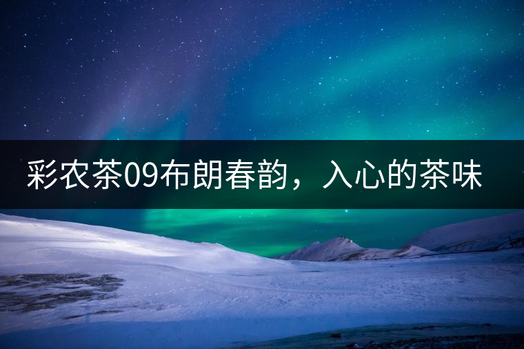 彩農(nóng)茶09布朗春韻，入心的茶味兒