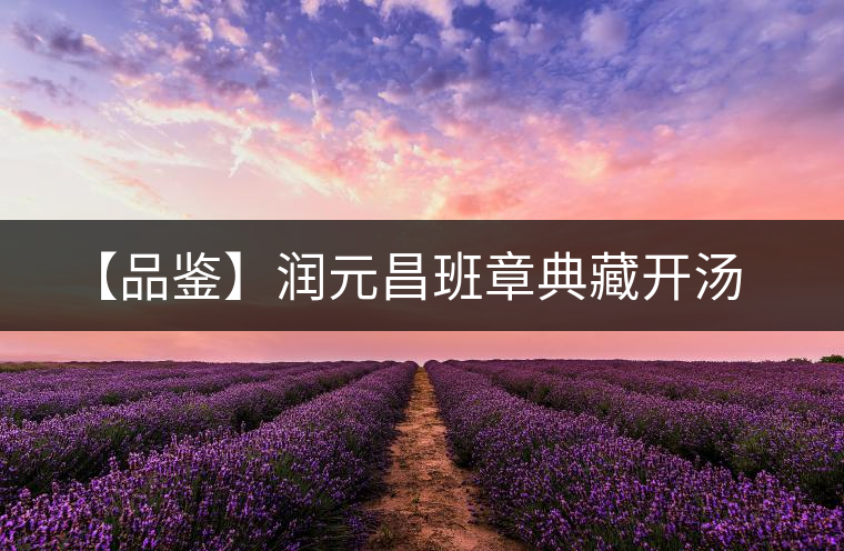 【品鑒】潤(rùn)元昌班章典藏開(kāi)湯