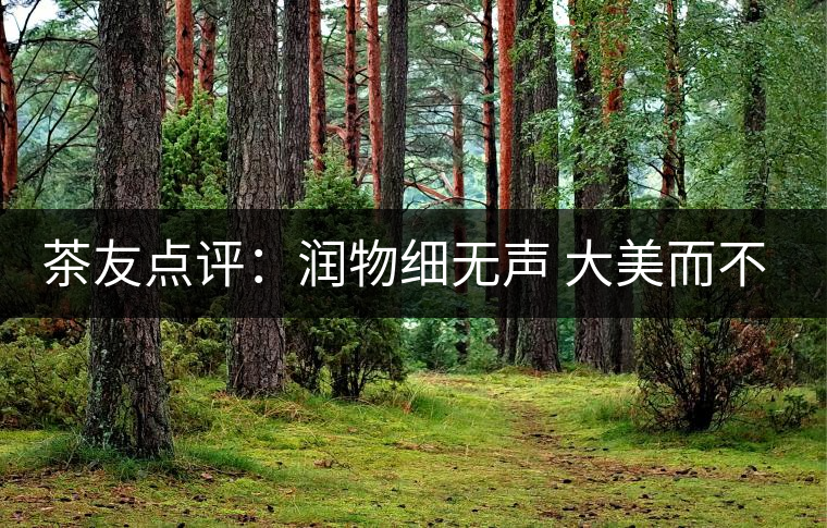 茶友點評：潤物細無聲 大美而不言——潤元昌大美之春熟茶