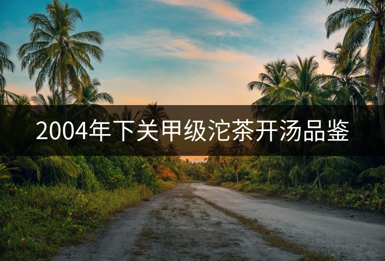 2004年下關(guān)甲級沱茶開湯品鑒