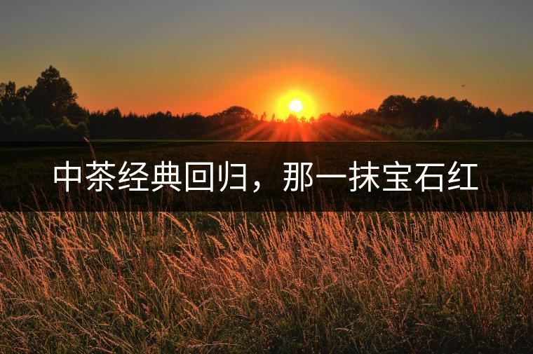 中茶經(jīng)典回歸，那一抹寶石紅