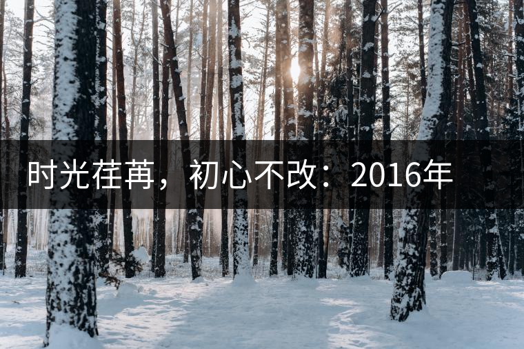 時光荏苒，初心不改：2016年老同志為天下人做好茶開湯