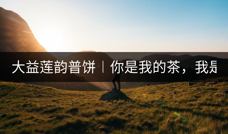 大益蓮韻普餅︱你是我的茶，我是你的人！