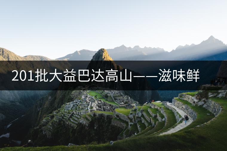 201批大益巴達(dá)高山——滋味鮮爽醇厚，回甘高而持久