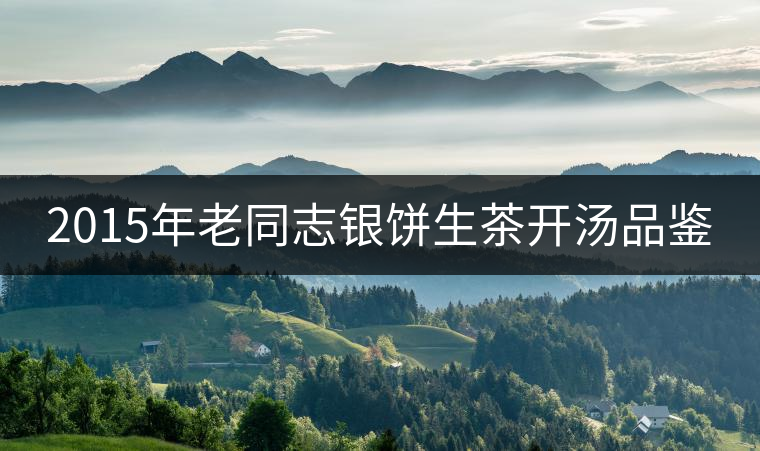 2015年老同志銀餅生茶開(kāi)湯品鑒 2015年老同志銀餅生茶開(kāi)湯品鑒