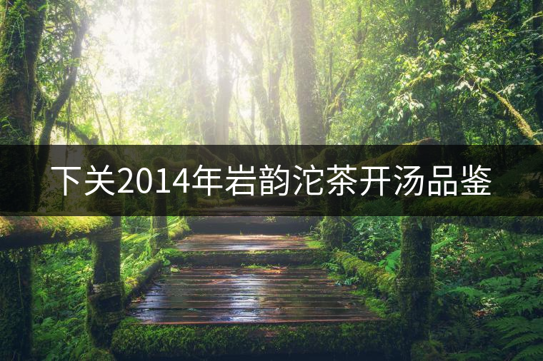 下關(guān)2014年巖韻沱茶開湯品鑒 下關(guān)2014年巖韻沱茶開湯品鑒