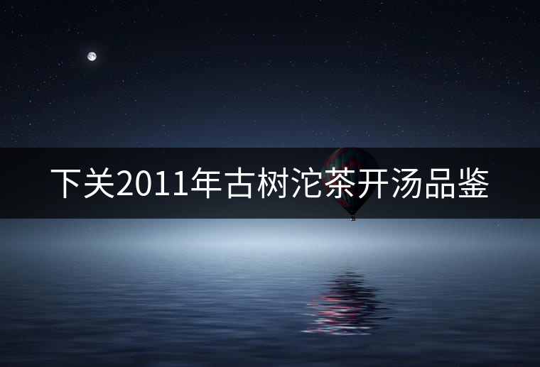 下關2011年古樹沱茶開湯品鑒 下關2011年古樹沱茶開湯品鑒