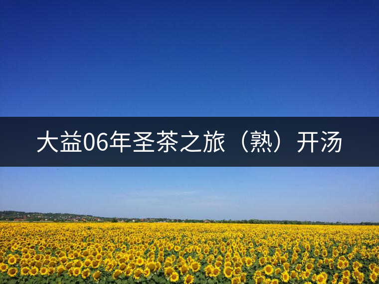 大益06年圣茶之旅(熟)開(kāi)湯 大益06年圣茶之旅(熟)開(kāi)湯