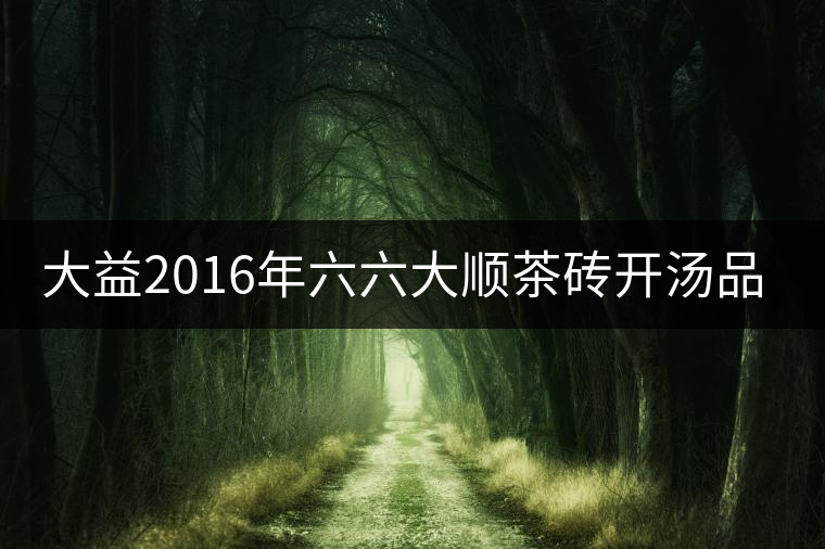 大益2016年六六大順茶磚開湯品鑒 大益2016年六六大順茶磚開湯品鑒