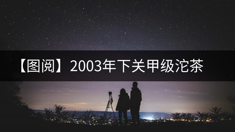 【圖閱】2003年下關(guān)甲級(jí)沱茶開湯品鑒 【圖閱】2003年下關(guān)甲級(jí)沱茶開湯品鑒