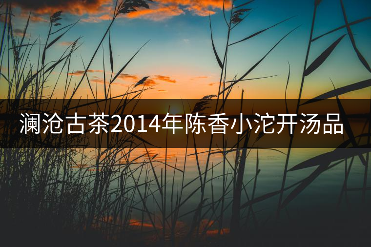 瀾滄古茶2014年陳香小沱開(kāi)湯品鑒