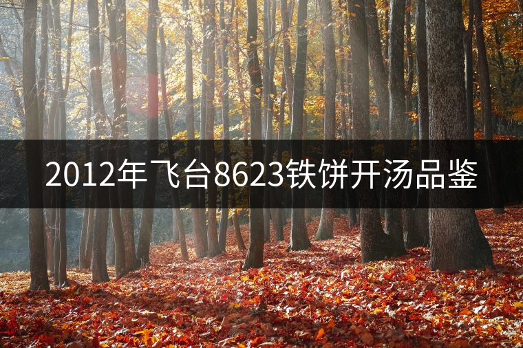 2012年飛臺8623鐵餅開湯品鑒 2012年飛臺8623鐵餅開湯品鑒