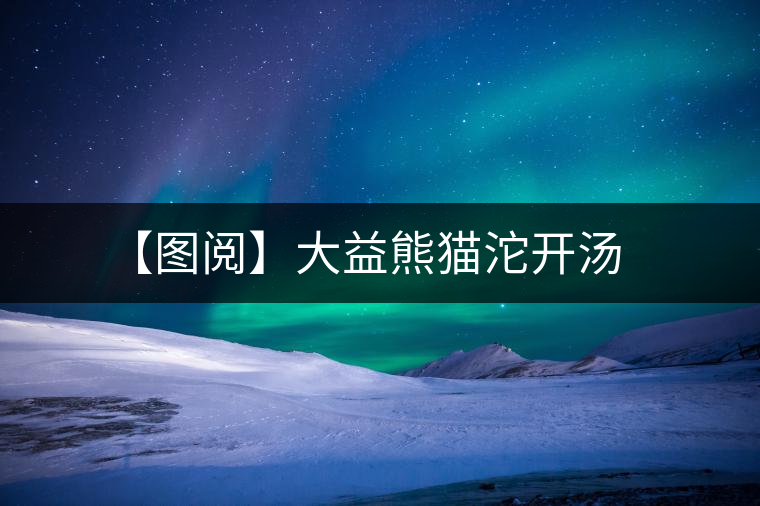 【圖閱】大益熊貓沱開(kāi)湯 【圖閱】大益熊貓沱開(kāi)湯