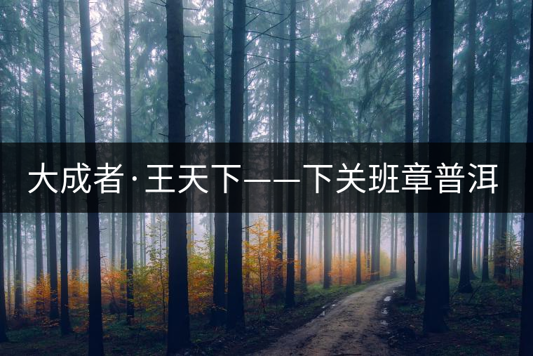 大成者·王天下——下關班章普洱茶開湯品鑒