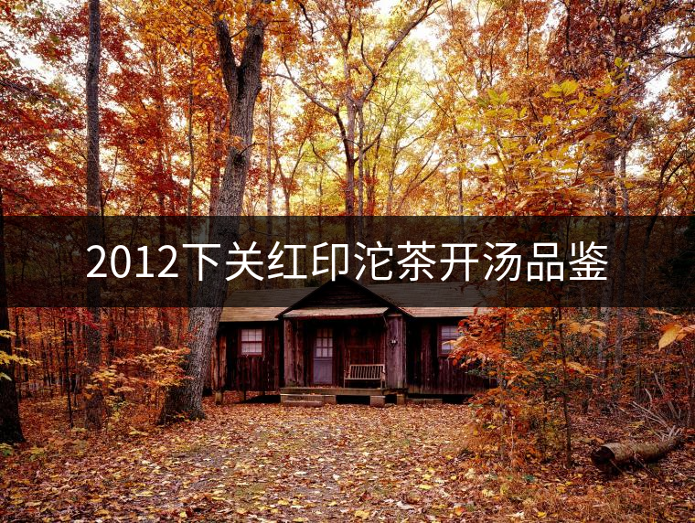 2012下關(guān)紅印沱茶開(kāi)湯品鑒 2012下關(guān)紅印沱茶開(kāi)湯品鑒