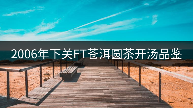 2006年下關(guān)FT蒼洱圓茶開(kāi)湯品鑒