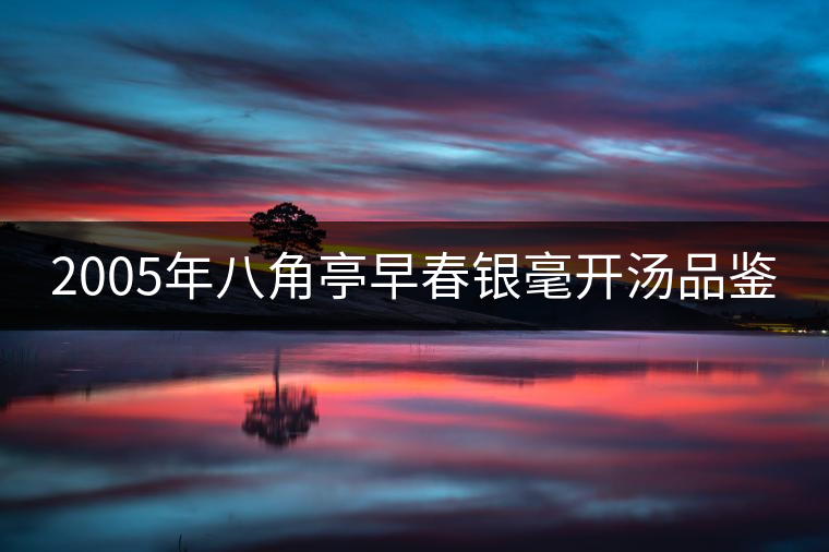 2005年八角亭早春銀毫開湯品鑒 2005年八角亭早春銀毫開湯品鑒