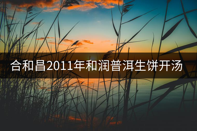 合和昌2011年和潤普洱生餅開湯品鑒 合和昌2011年和潤普洱生餅開湯品鑒