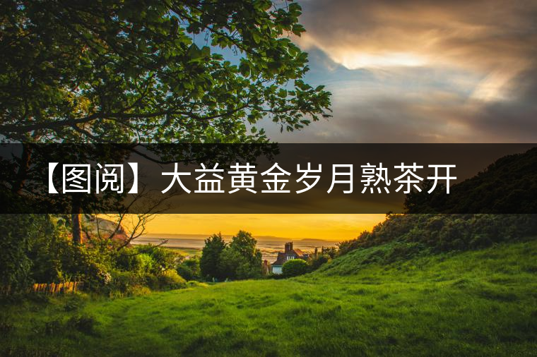 【圖閱】大益黃金歲月熟茶開(kāi)湯