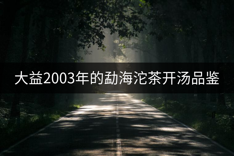 大益2003年的勐海沱茶開(kāi)湯品鑒